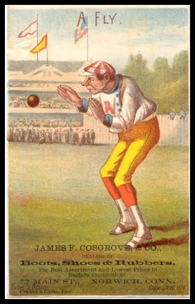 1878 Cosgrove Fly